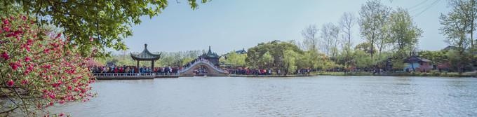 十二生肖排号图，十二生肖排行榜顺序