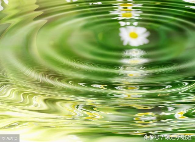 0多岁属鼠的今年多大，属鼠的今年多大了2022"