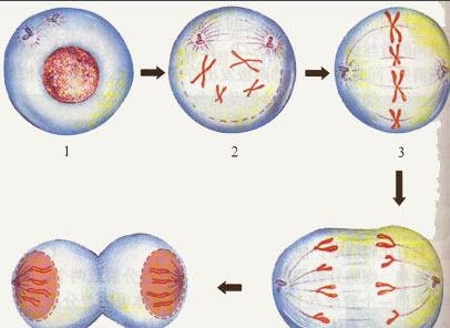 928年属龙寿命多长,1928年属龙的寿命"