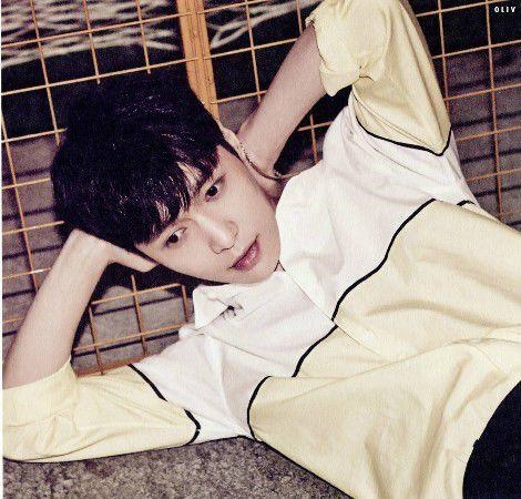 算命2022年财运,麦玲玲2022年生肖运势测算