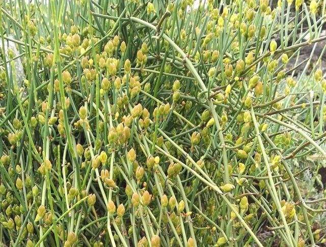 9年属兔人能活到几岁，属兔的人过了几岁会变好"