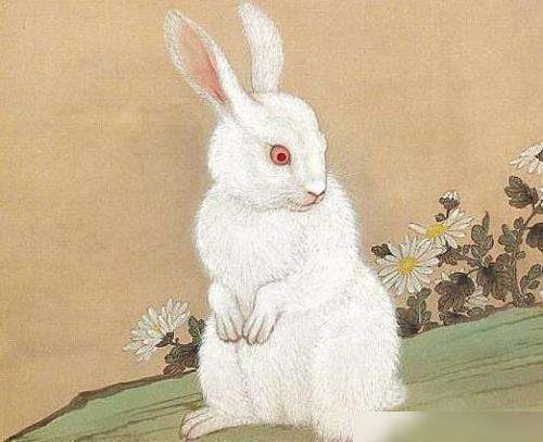 5年女兔更佳婚配属相,75年属兔女最终和谁在一起"