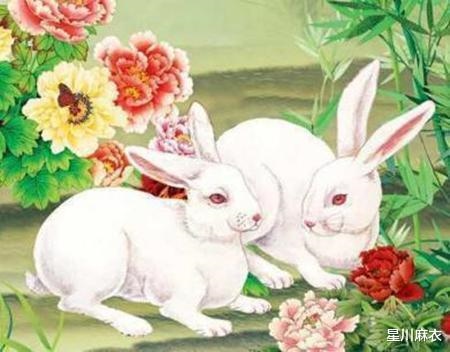 生肖兔2022年下半年运势，属龙2022 年运势及运程每月运程