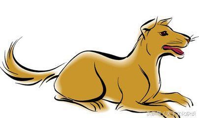 属牛几日出生大富大贵2022，2022虎命太苦