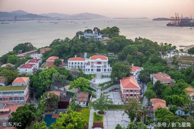 属鸡的时辰出生更好,属鸡出生时辰与命运