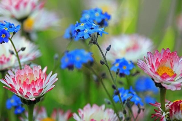 022年运势最衰的生肖，2022年烂桃花旺的生肖兔"