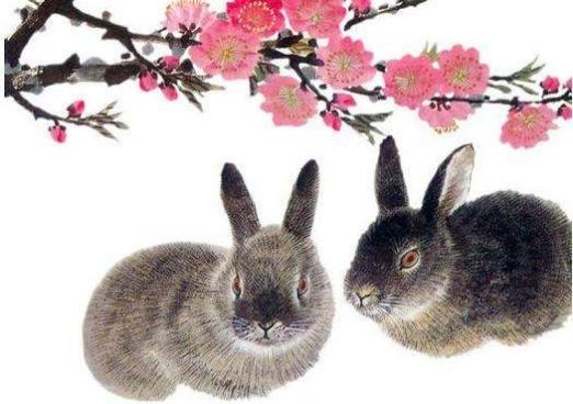 3年属兔人的运势，63年12月属兔的命运"