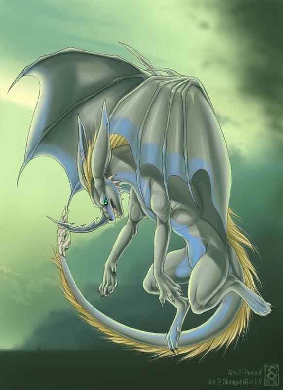 988年的龙龙相配吗,1988年与1988年相配吗"