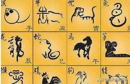 十二生肖的排列表，六合十二生肖排序表