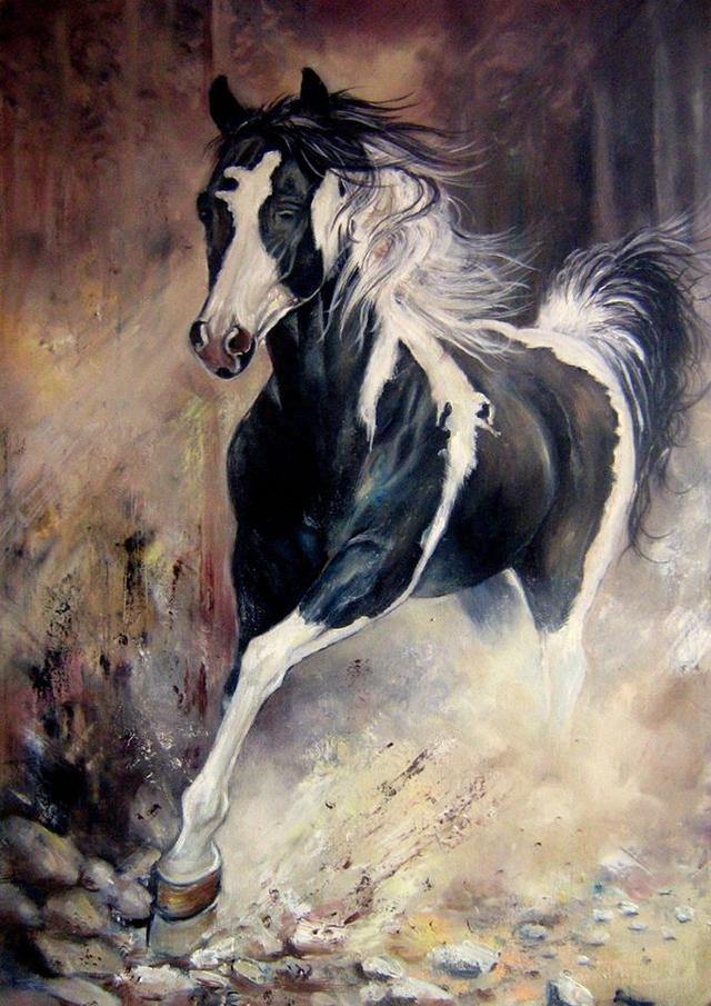 人物动物图片大全，人物动物植物简笔画组合