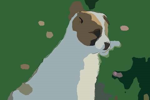 022年28岁属什么生肖，2022年满70岁属什么生肖"