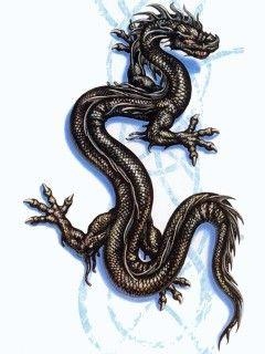 988年的龙龙相配吗,1988年与1988年相配吗"