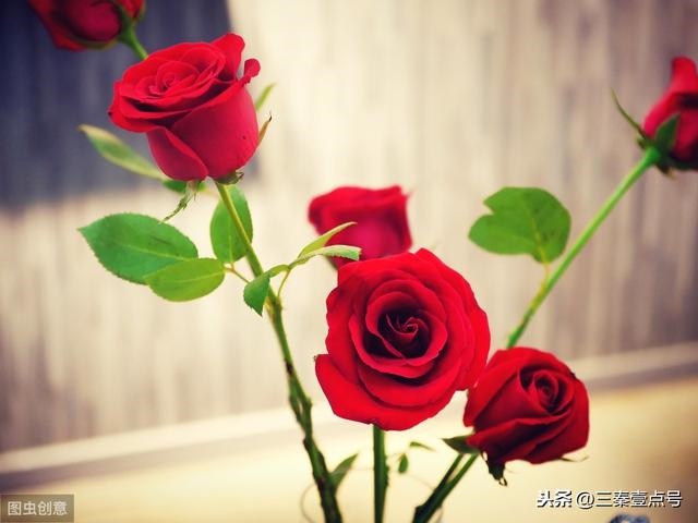 3属猪什么时候翻身谢手座女，83年属猪人三大坎"