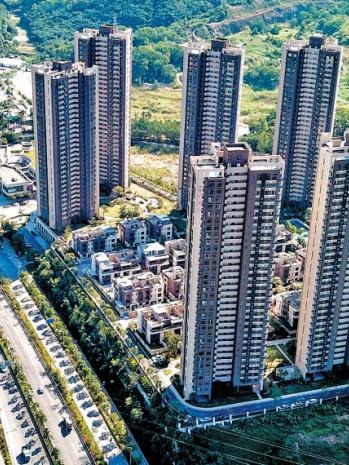 8年龙未来五年，2022