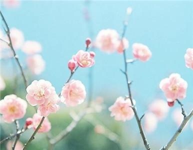 美国神婆星座 ，星座运势星座屋