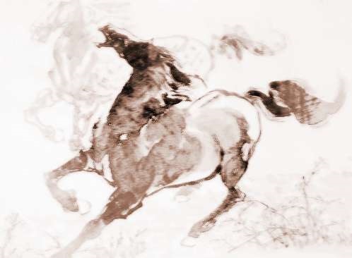 属马的80后是哪一年，属马是哪年出生的多少岁