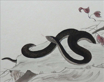 属蛇女几月出生更好，属蛇女几月出生命更好