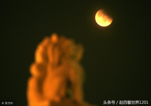 土龙和土蛇婚姻怎么样，婚姻到什么程度该离婚