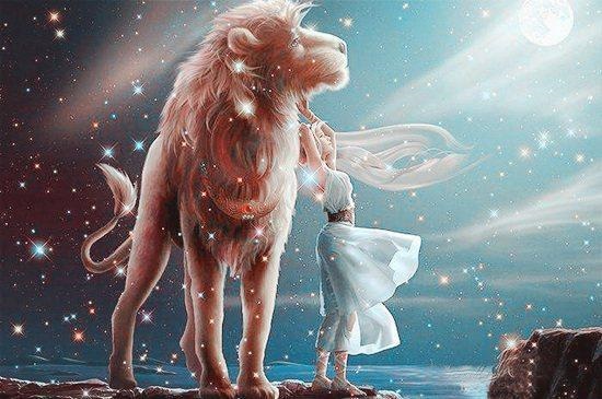 星座生肖运势解读，陶白白星座运势11月