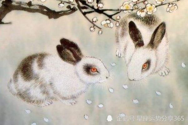 7兔一生的财运运势,1987年12月13女兔的命运"