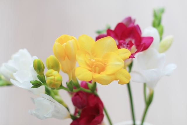 属龙女人床上的表现，生肖能影响性格