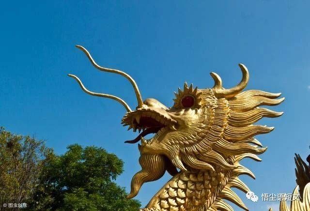 龙是八几年出生，2000年属龙女孩的婚姻