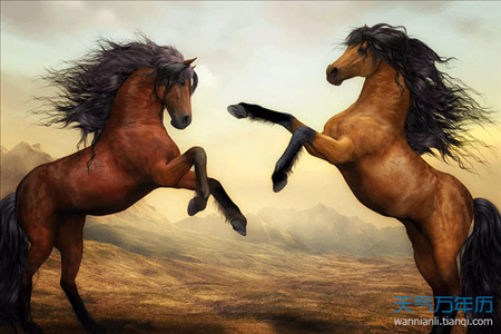 属龙的和属马的合不合,属龙的和属马的结婚好吗