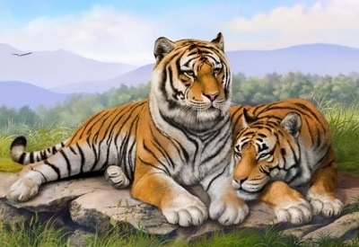 8年属虎男性婚配，1998年属虎的更佳婚配"