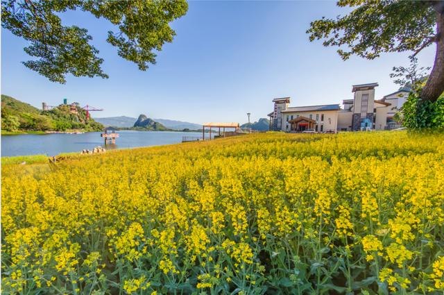 牛宝宝午时出生好吗，女命属牛午时出生好吗