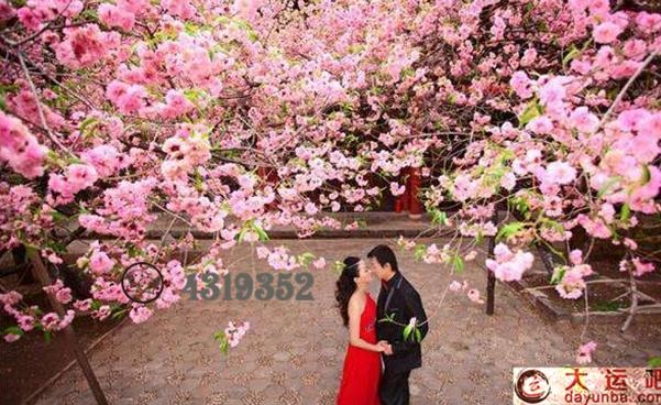 十二生肖更佳婚配表时辰，十二生肖及属相时辰对照表