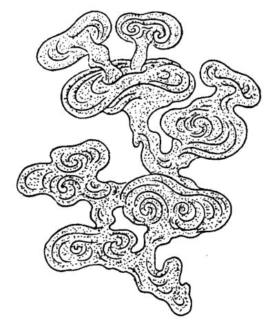 十二生肖图片表数字，十二生肖分别是哪年