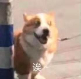 8年虎男和88年龙女相配吗，98年属虎男一生的命运"