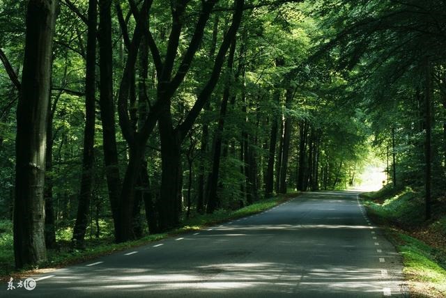 属龙算命一生的命运,属龙人的一生命运表格