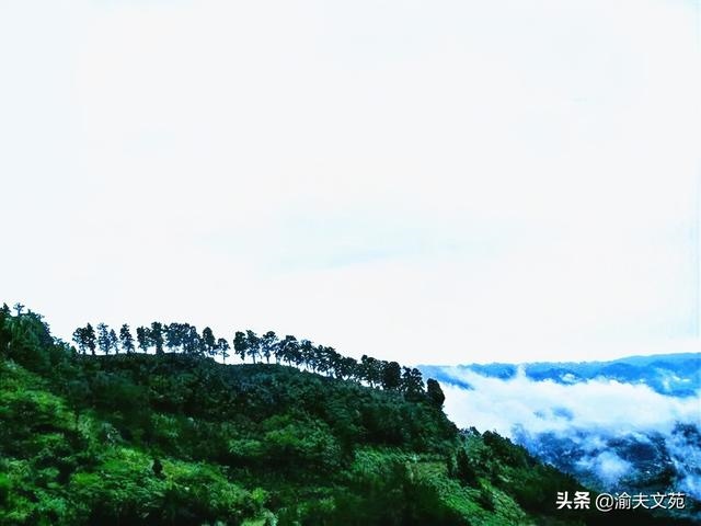 一床不卧二龙破解，一床不卧二龙典故