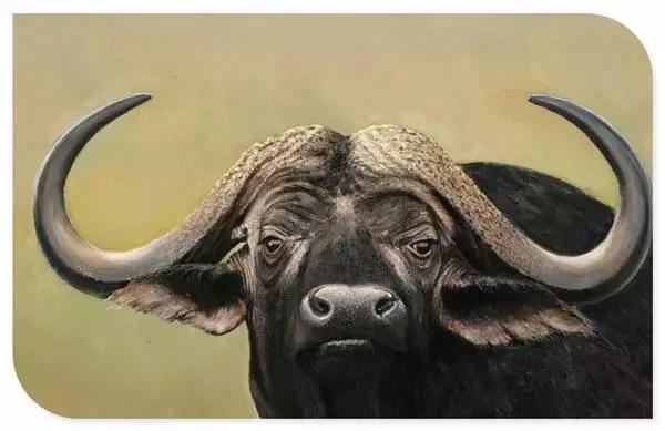 龙是几月份出生的，属龙哪个月出生最不好