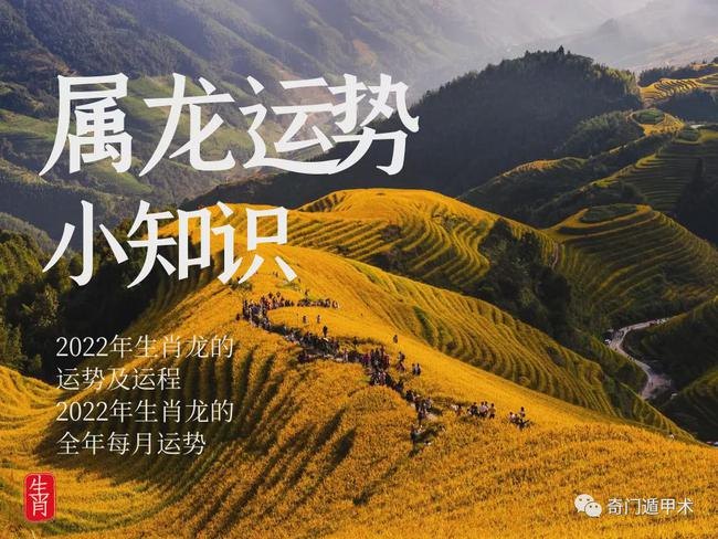 生肖龙每月运势2022，88年属龙男2022 年运势及运程