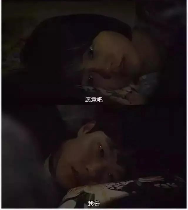 988年今年多大年龄，1988年今年几岁"