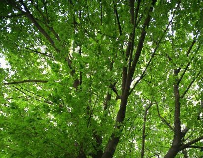 未来5年运势更好的生肖，2022太岁生肖一览表