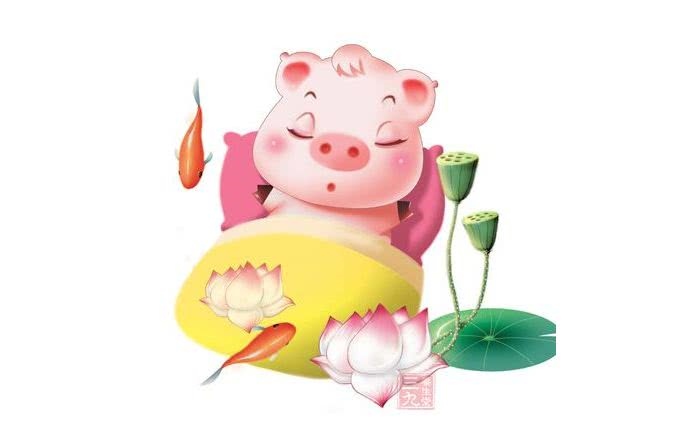 3猪未来十年运势，56年属猴2022