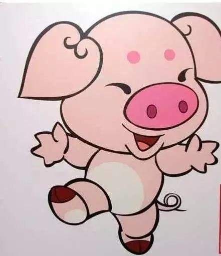 属猪配什么生肖运气好，生肖猪的旺财花是什么