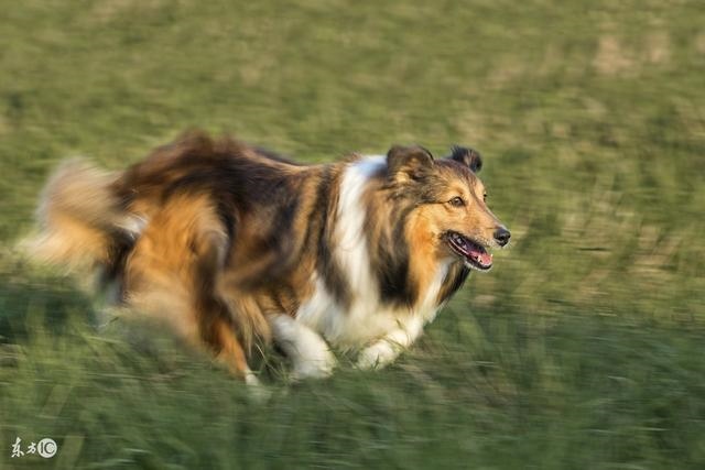 牛宝宝几月出生更好,剖腹产要不要挑时辰