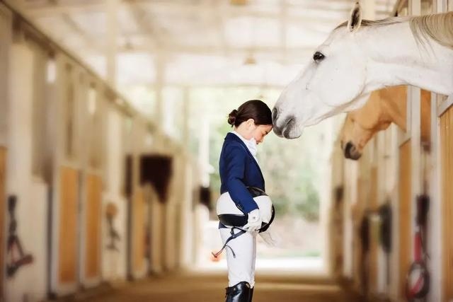 马与马是怎样配合，马马虎虎成语故事