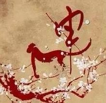 属龙人为什么命这么苦呢，为什么说属龙人33岁最苦