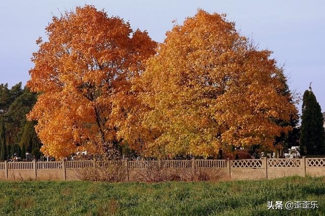 2生肖今日运势查询,2022