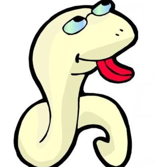 属龙人二婚后会幸福吗,88年属龙二婚会幸福吗