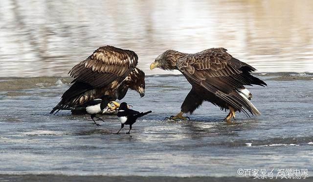 怎么看自己八字命格，生辰八字怎么算命自查表