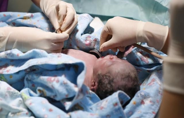 属龙女六月出生好不好，属龙的六月出生命好不