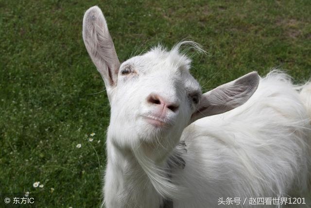 土龙和土蛇婚姻怎么样，婚姻到什么程度该离婚