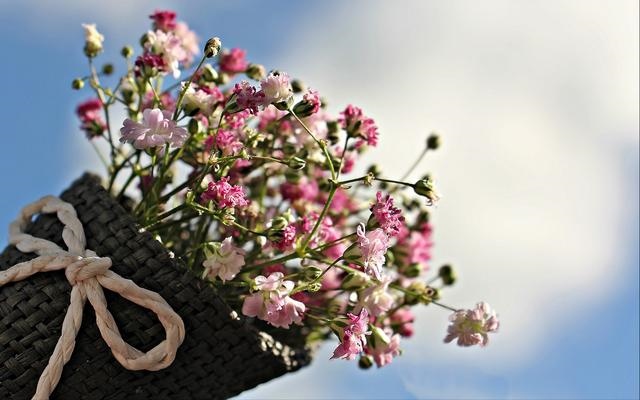 怎么跟属龙女相处，属龙女人对待感情态度