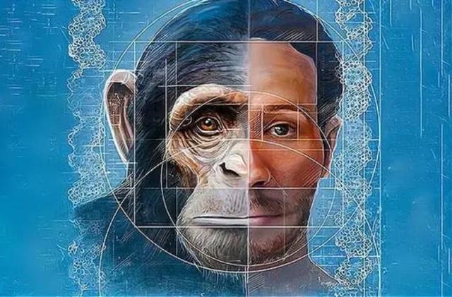 马和马怎么配对多长时间，马跟马的婚姻能长久吗